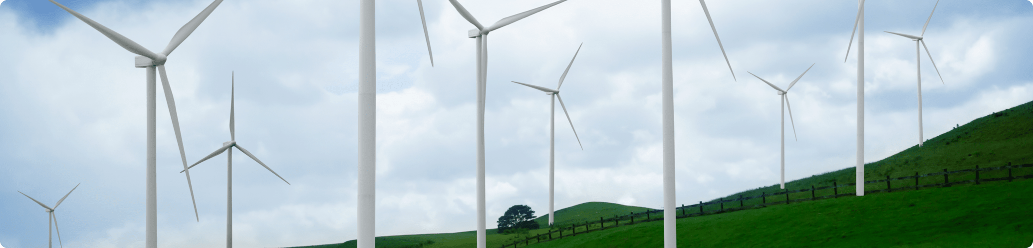 Contribution Image 3